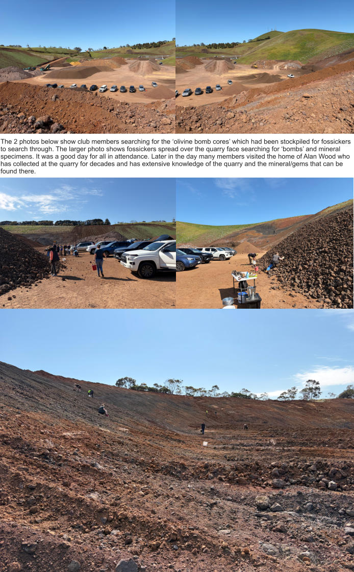 The 2 photos below show club members searching for the ‘olivine bomb cores’ which had been stockpiled for fossickers to search through. The larger photo shows fossickers spread over the quarry face searching for ‘bombs’ and mineral specimens. It was a good day for all in attendance. Later in the day many members visited the home of Alan Wood who has collected at the quarry for decades and has extensive knowledge of the quarry and the mineral/gems that can be found there.